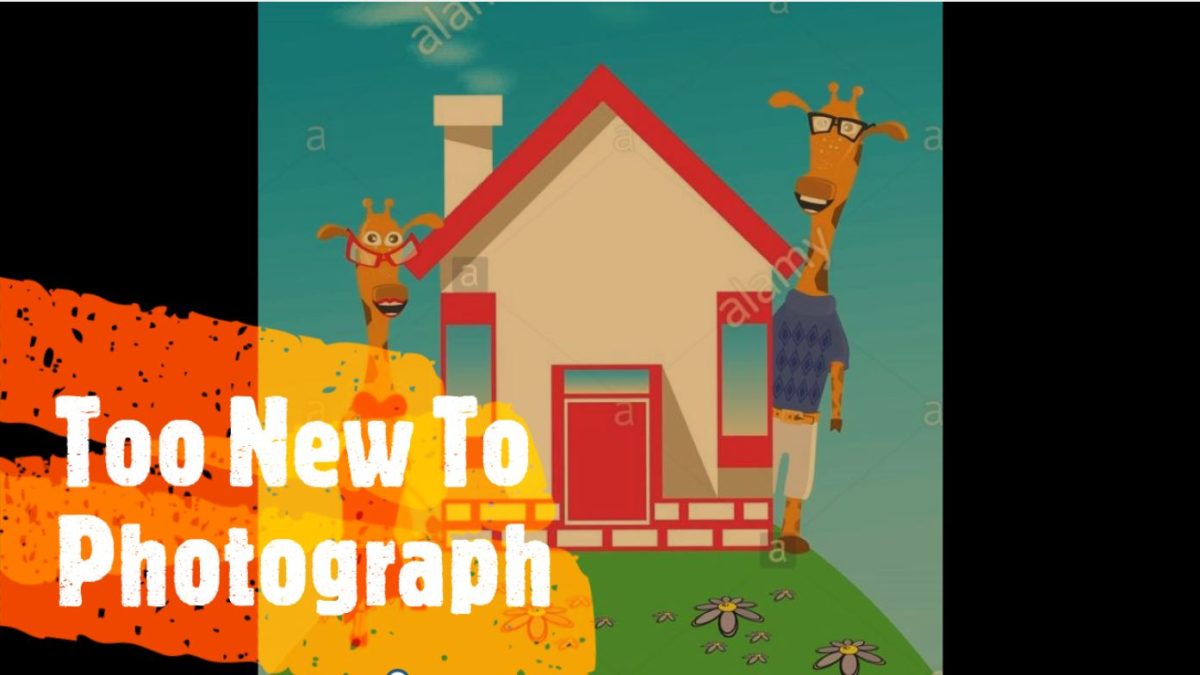 Unit 1 and Unit 11 Available for Rent